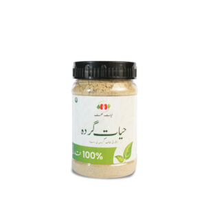 Hayat-e-Gurda